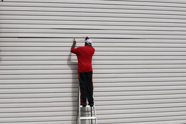 Best Vinyl Siding Installation  in Newberry, MI
